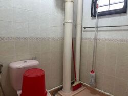 Blk 203D Compassvale Road (Sengkang), HDB 5 Rooms #529326771